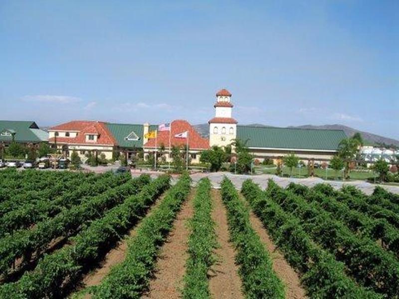 טמקולה South Coast Winery Resort & Spa מראה חיצוני תמונה