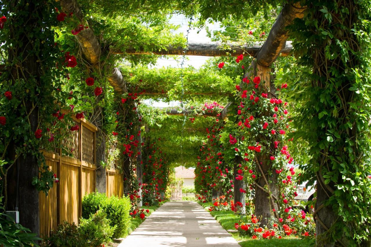 טמקולה South Coast Winery Resort & Spa מראה חיצוני תמונה